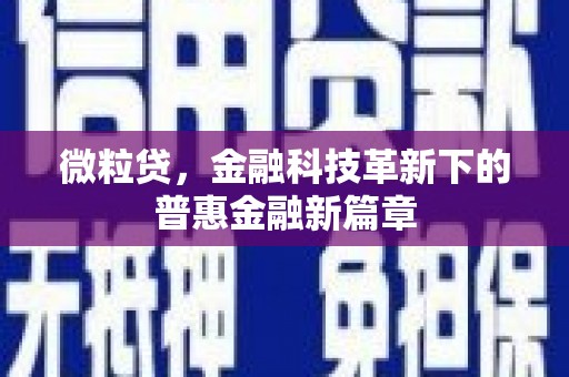濮阳微粒贷，金融科技革新下的普惠金融新篇章