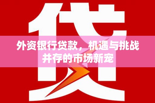 濮阳外资银行贷款，机遇与挑战并存的市场新宠