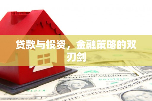 濮阳贷款与投资，金融策略的双刃剑