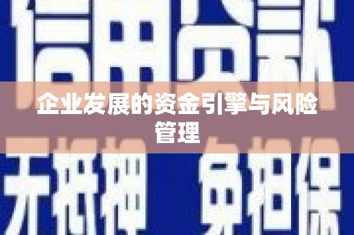 濮阳企业发展的资金引擎与风险管理
