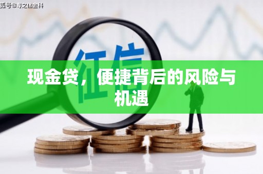 濮阳现金贷，便捷背后的风险与机遇