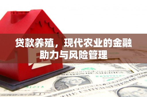 濮阳贷款养殖，现代农业的金融助力与风险管理