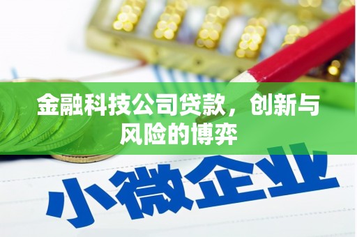 濮阳金融科技公司贷款，创新与风险的博弈