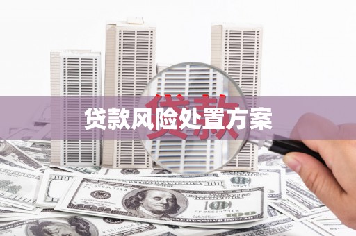 濮阳贷款风险处置方案