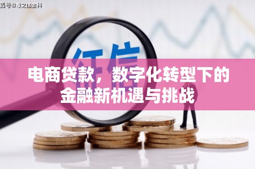 濮阳电商贷款，数字化转型下的金融新机遇与挑战