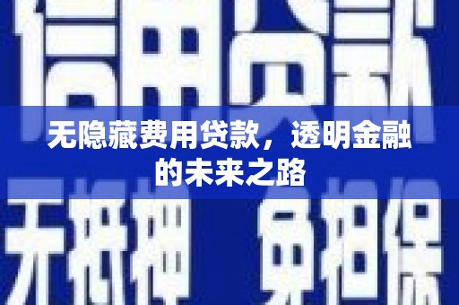 濮阳无隐藏费用贷款，透明金融的未来之路