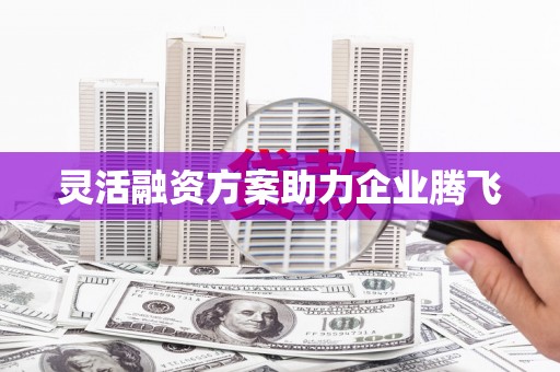 濮阳灵活融资方案助力企业腾飞