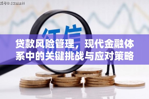 濮阳贷款风险管理，现代金融体系中的关键挑战与应对策略