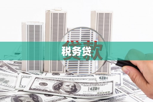濮阳税务贷