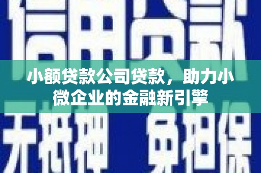 濮阳小额贷款公司贷款，助力小微企业的金融新引擎