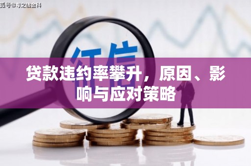 濮阳贷款违约率攀升，原因、影响与应对策略