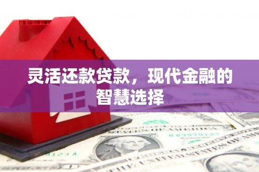 濮阳灵活还款贷款，现代金融的智慧选择