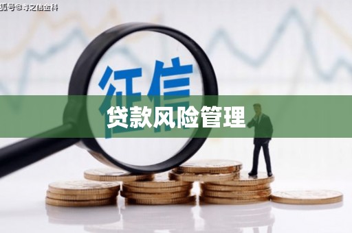 濮阳贷款风险管理