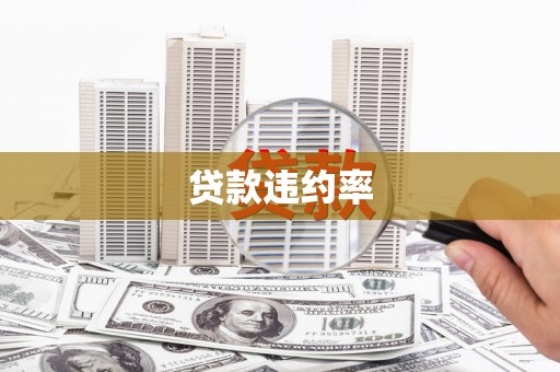 濮阳贷款违约率