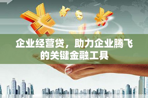 濮阳企业经营贷，助力企业腾飞的关键金融工具