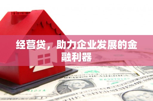 濮阳经营贷，助力企业发展的金融利器