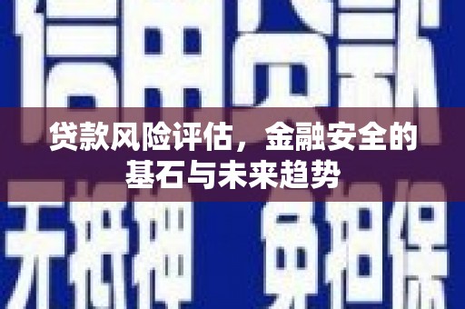 濮阳贷款风险评估，金融安全的基石与未来趋势