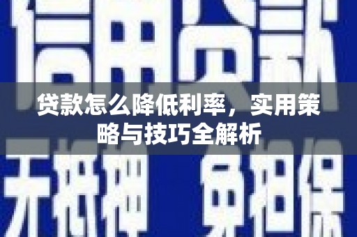 濮阳贷款怎么降低利率，实用策略与技巧全解析