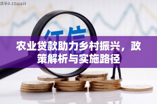 濮阳农业贷款助力乡村振兴，政策解析与实施路径