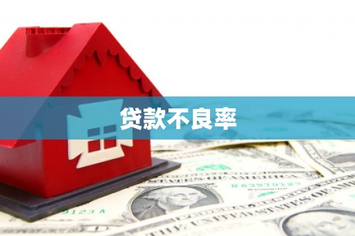 濮阳贷款不良率