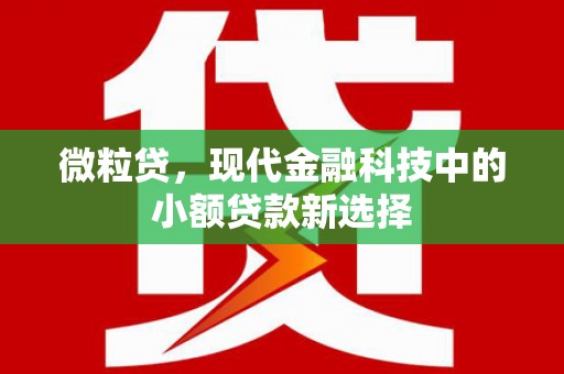 濮阳微粒贷，现代金融科技中的小额贷款新选择