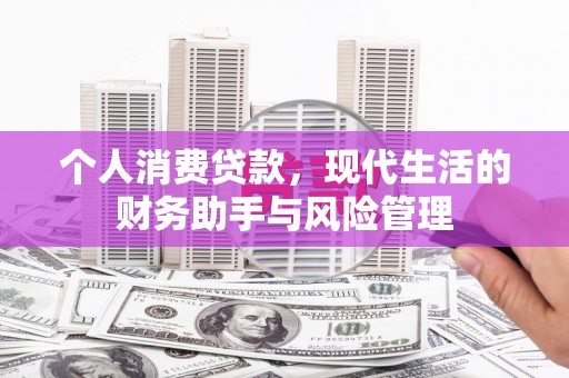 濮阳个人消费贷款，现代生活的财务助手与风险管理