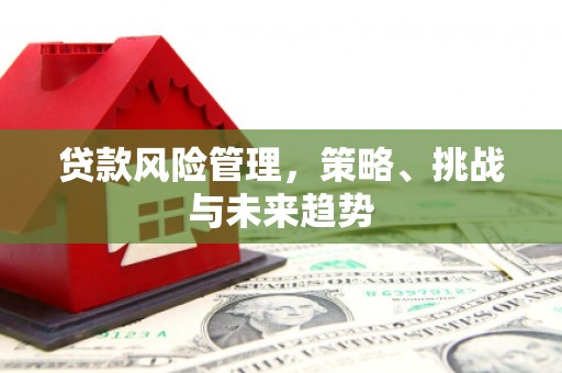 濮阳贷款风险管理，策略、挑战与未来趋势