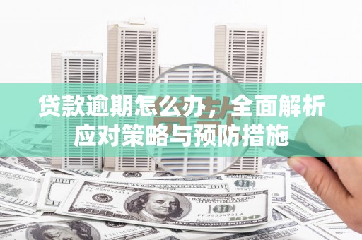 濮阳贷款逾期怎么办，全面解析应对策略与预防措施