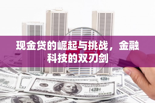 濮阳现金贷的崛起与挑战，金融科技的双刃剑