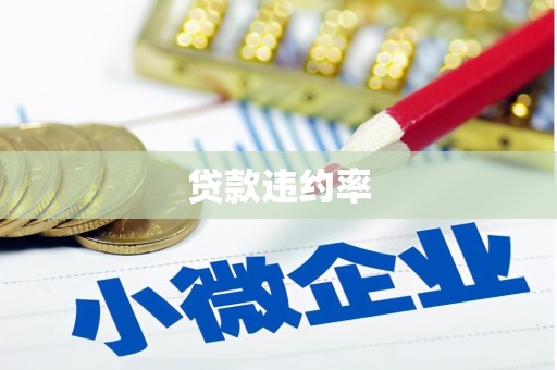 濮阳贷款违约率