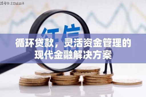濮阳循环贷款，灵活资金管理的现代金融解决方案