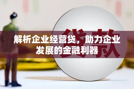 濮阳解析企业经营贷，助力企业发展的金融利器