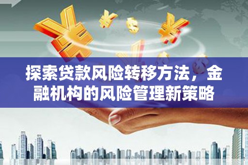 濮阳探索贷款风险转移方法，金融机构的风险管理新策略