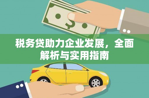 濮阳税务贷助力企业发展，全面解析与实用指南