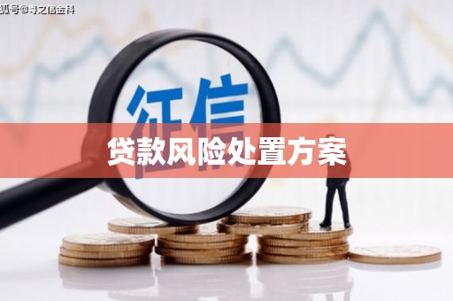 濮阳贷款风险处置方案