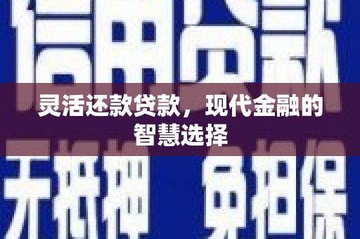 濮阳灵活还款贷款，现代金融的智慧选择