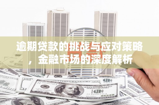 濮阳逾期贷款的挑战与应对策略，金融市场的深度解析