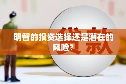 濮阳明智的投资选择还是潜在的风险？