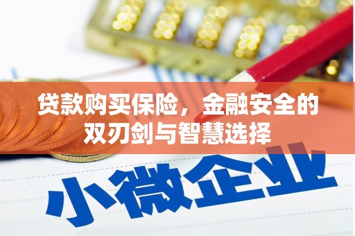 濮阳贷款购买保险，金融安全的双刃剑与智慧选择