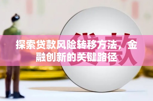 濮阳探索贷款风险转移方法，金融创新的关键路径
