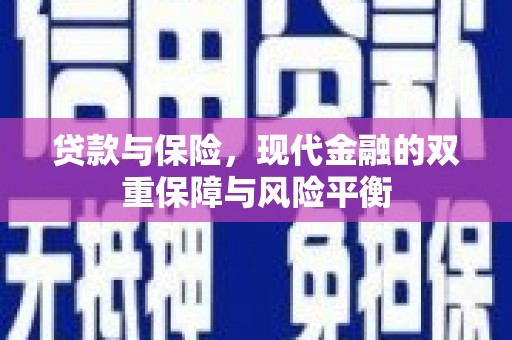 濮阳贷款与保险，现代金融的双重保障与风险平衡