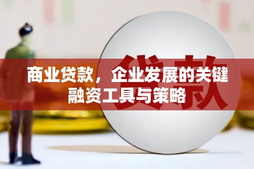 濮阳商业贷款，企业发展的关键融资工具与策略