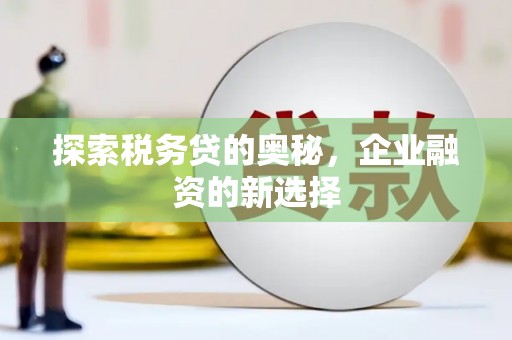濮阳探索税务贷的奥秘，企业融资的新选择