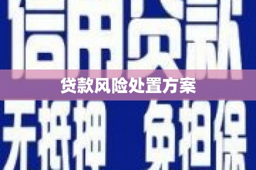 濮阳贷款风险处置方案