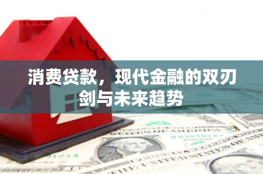 濮阳消费贷款，现代金融的双刃剑与未来趋势