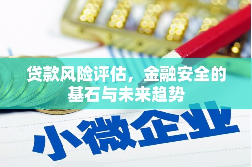 濮阳贷款风险评估，金融安全的基石与未来趋势