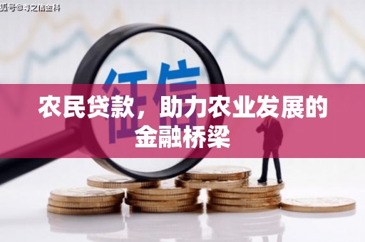 濮阳农民贷款，助力农业发展的金融桥梁