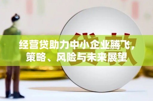 濮阳经营贷助力中小企业腾飞，策略、风险与未来展望