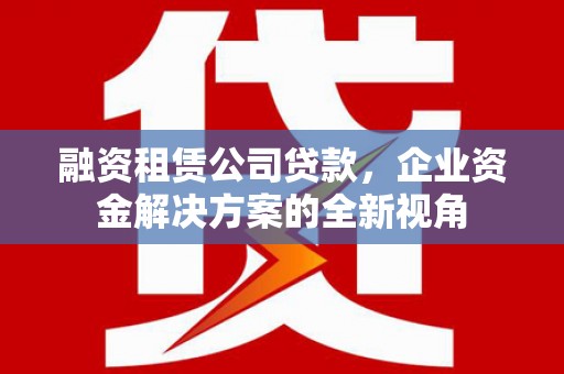 濮阳融资租赁公司贷款，企业资金解决方案的全新视角