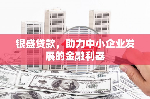 濮阳银盛贷款，助力中小企业发展的金融利器